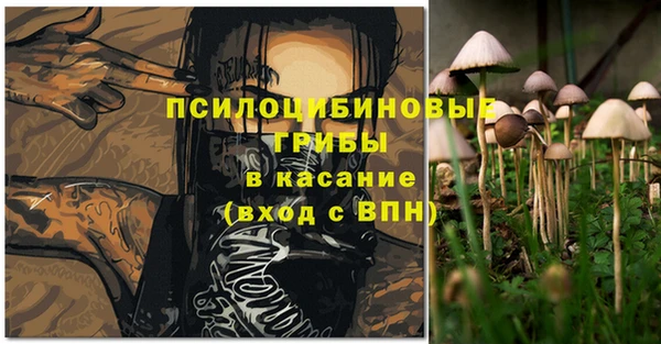 ГАЛЛЮЦИНОГЕННЫЕ ГРИБЫ Няндома