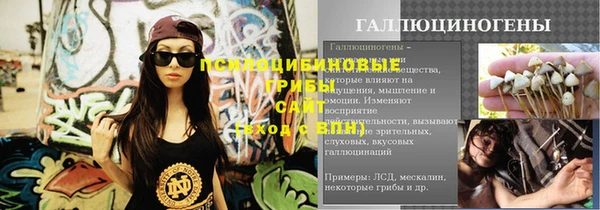 гидропоника Алзамай