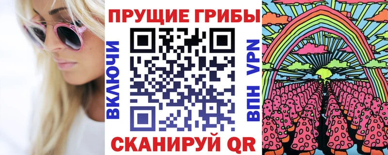Псилоцибиновые грибы GOLDEN TEACHER  где можно купить   Курчалой 
